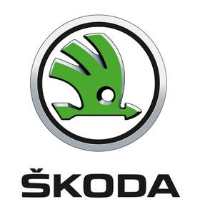 Skoda (все модели)