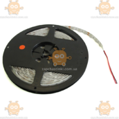 Лента светодиодная КРАСНАЯ 300 LED, диоды 5050, 12V, 14,4W/м, покрыта СИЛИКОНОМ (5м) (Тайвань) ПИР 35096