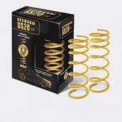 Пружины передней подвески ВАЗ 2110 - 2112 (16 клапанов) Gold Progressive (2шт) (пр-во SS-20) АГ 10745