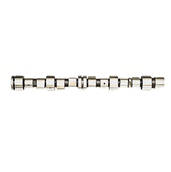 Вал распределительный впускной OPEL ASTRA F, G, VECTRA A, KADETT E (1984-2005г) CM05-2140 (Freccia) ВС